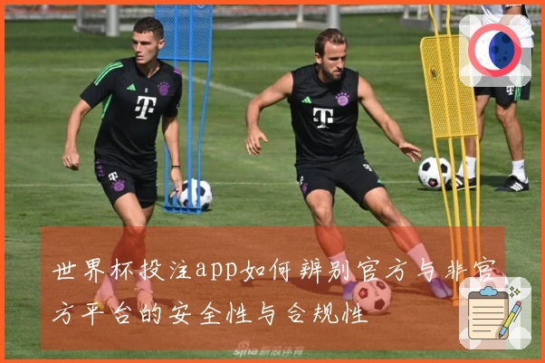 世界杯投注app如何辨别官方与非官方平台的安全性与合规性